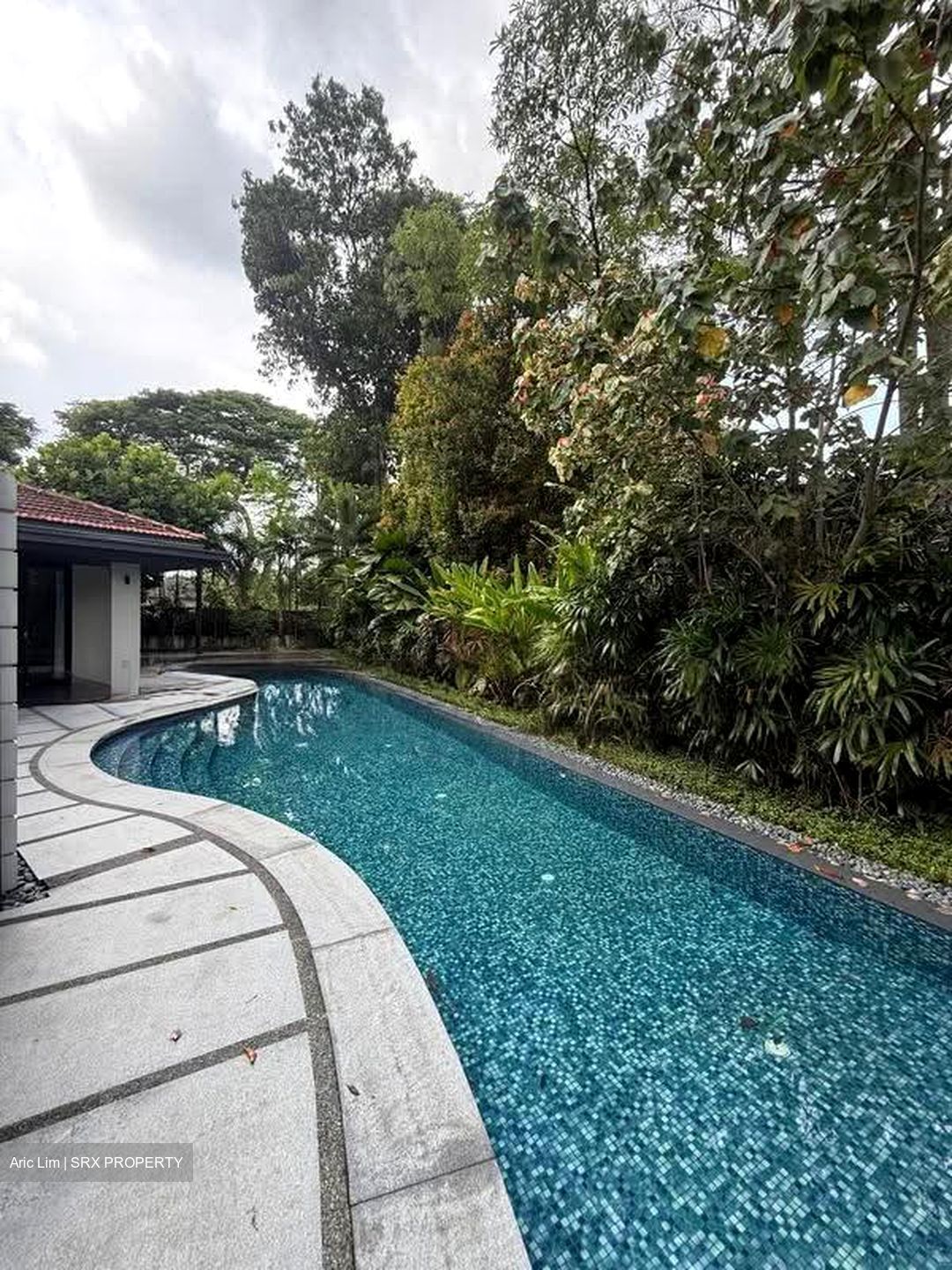 Chatsworth Park (D10), Detached #619392181
